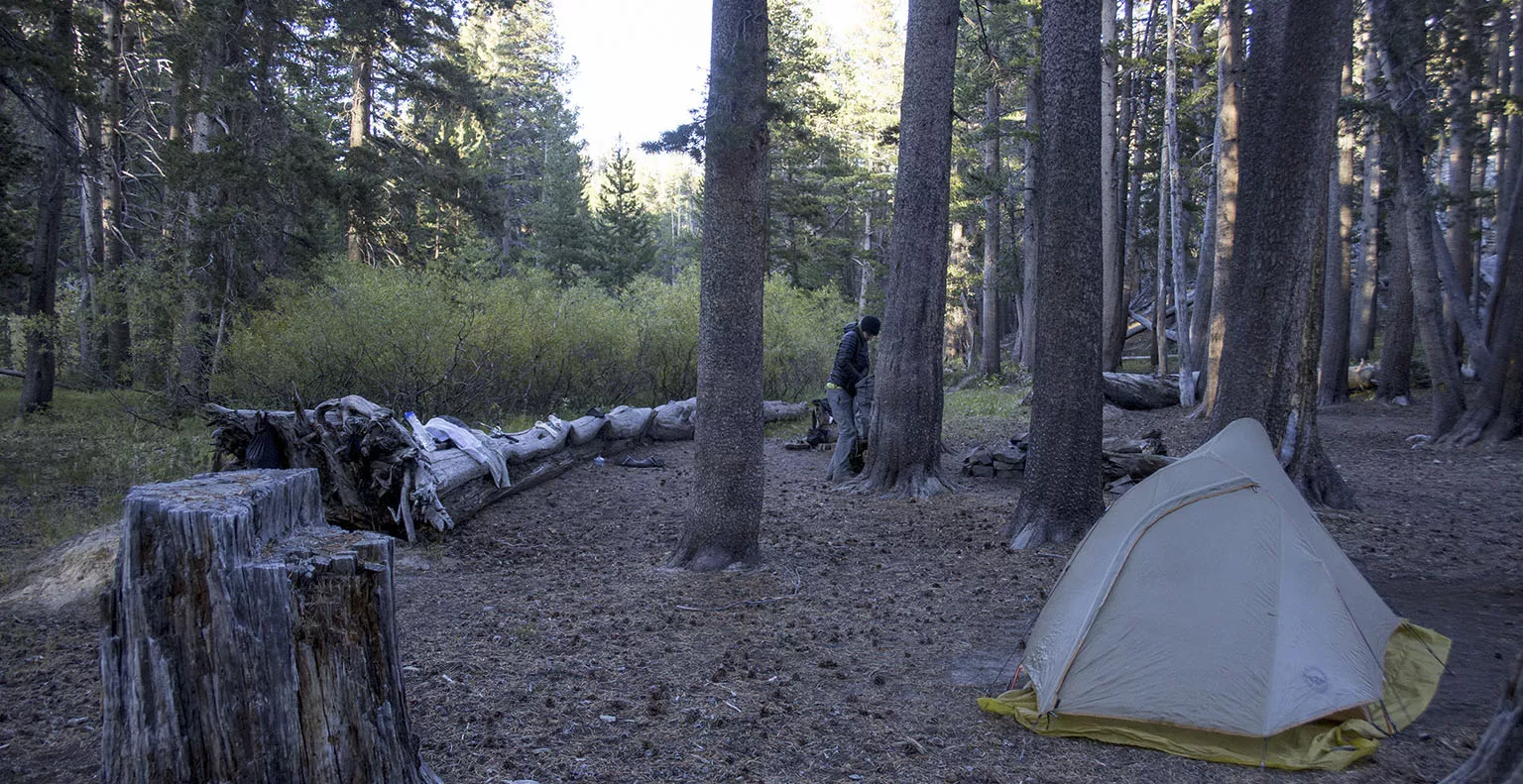 Our campsite in the forest on the bank of Rush Creek