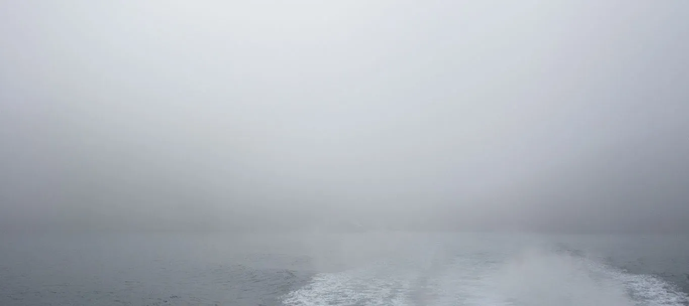 Santa Cruz Island disappearing in the fog yet again
