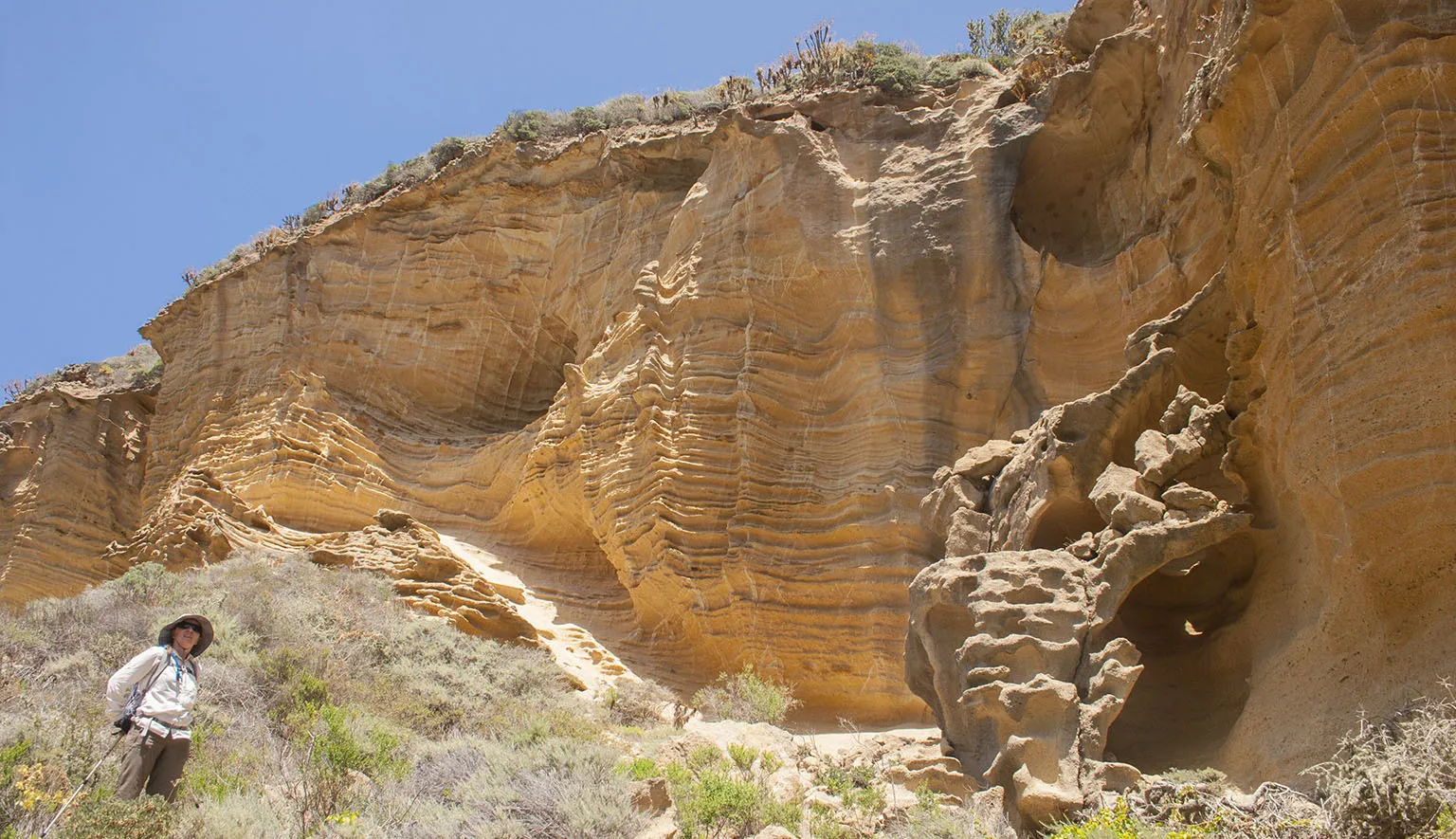 Em and sandstone in Lobo Canyon