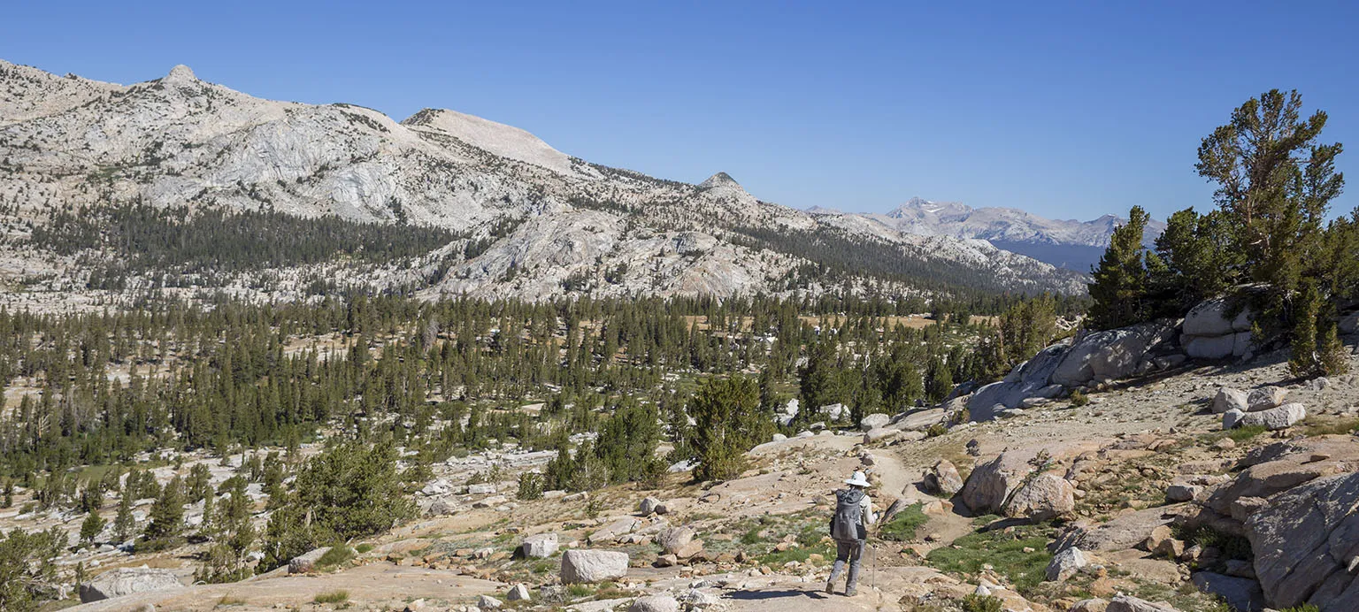 Vogelsang High Sierra Camp is in the center of this picture, with the buildings barely visible in the trees