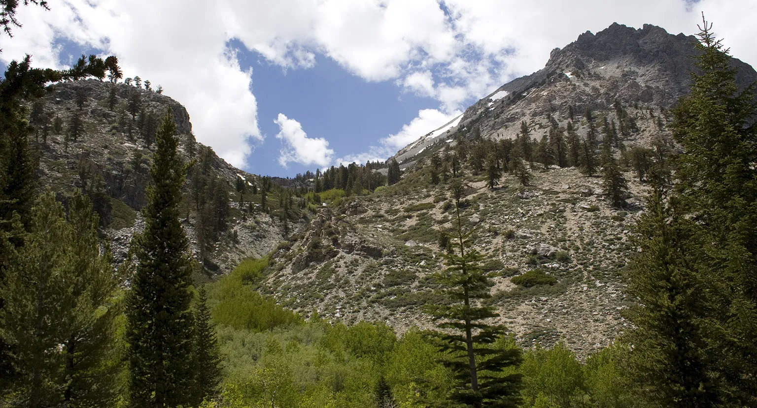 The western view - towards Kearsarge Pass - from Onion Valley Campground