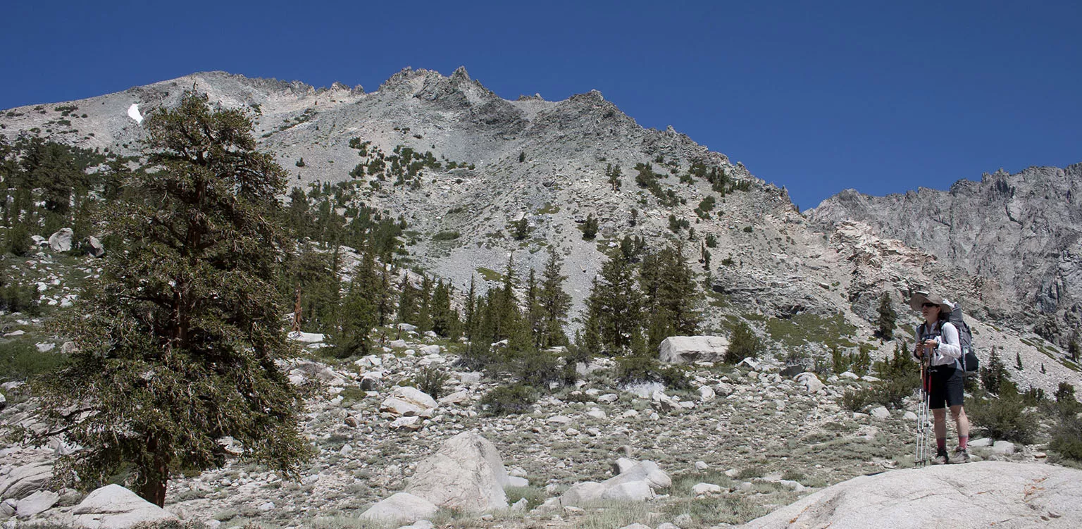On the Kearsarge Pass trail