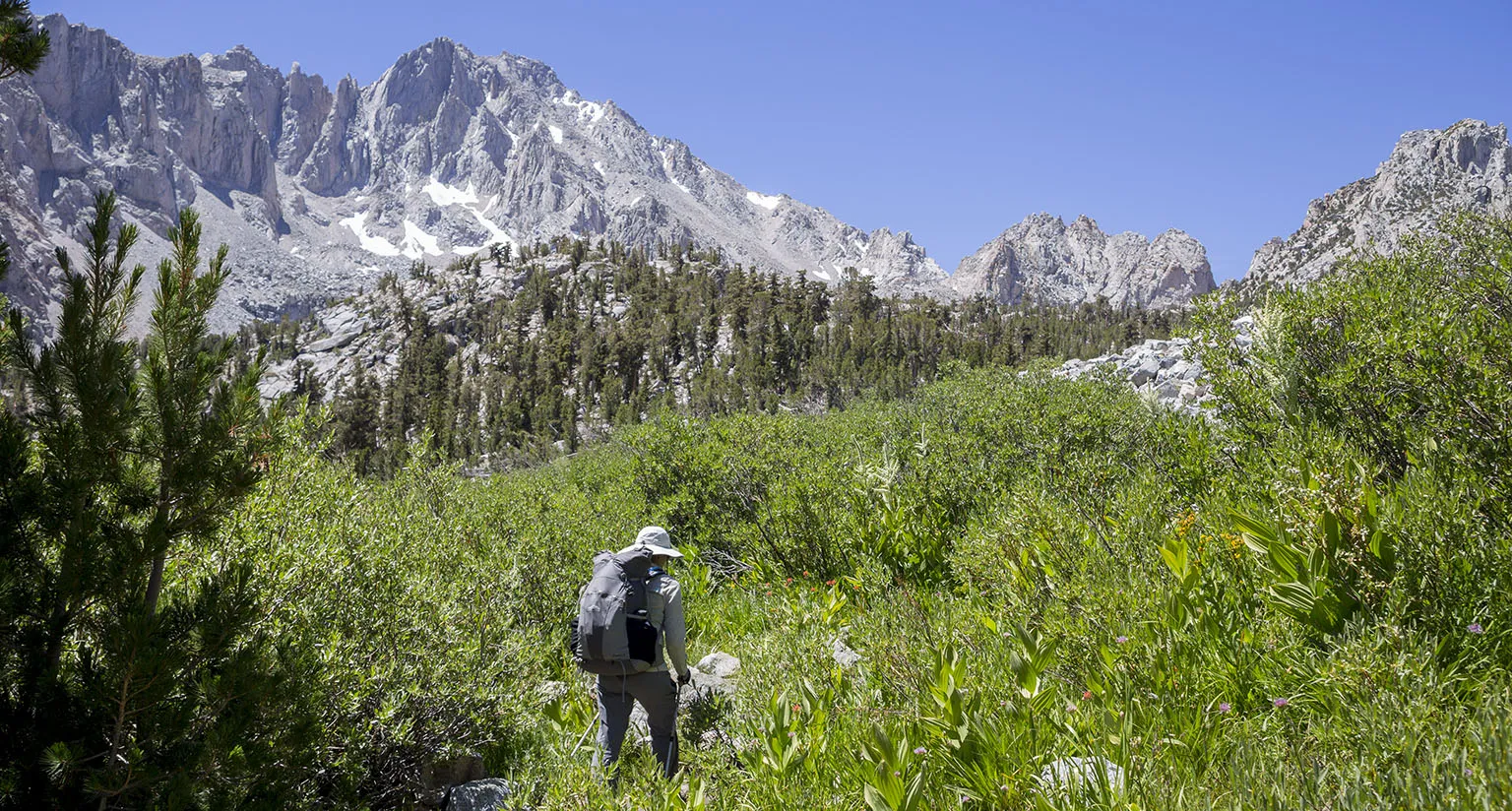 On the Kearsarge Pass Trail with University Peak in the back