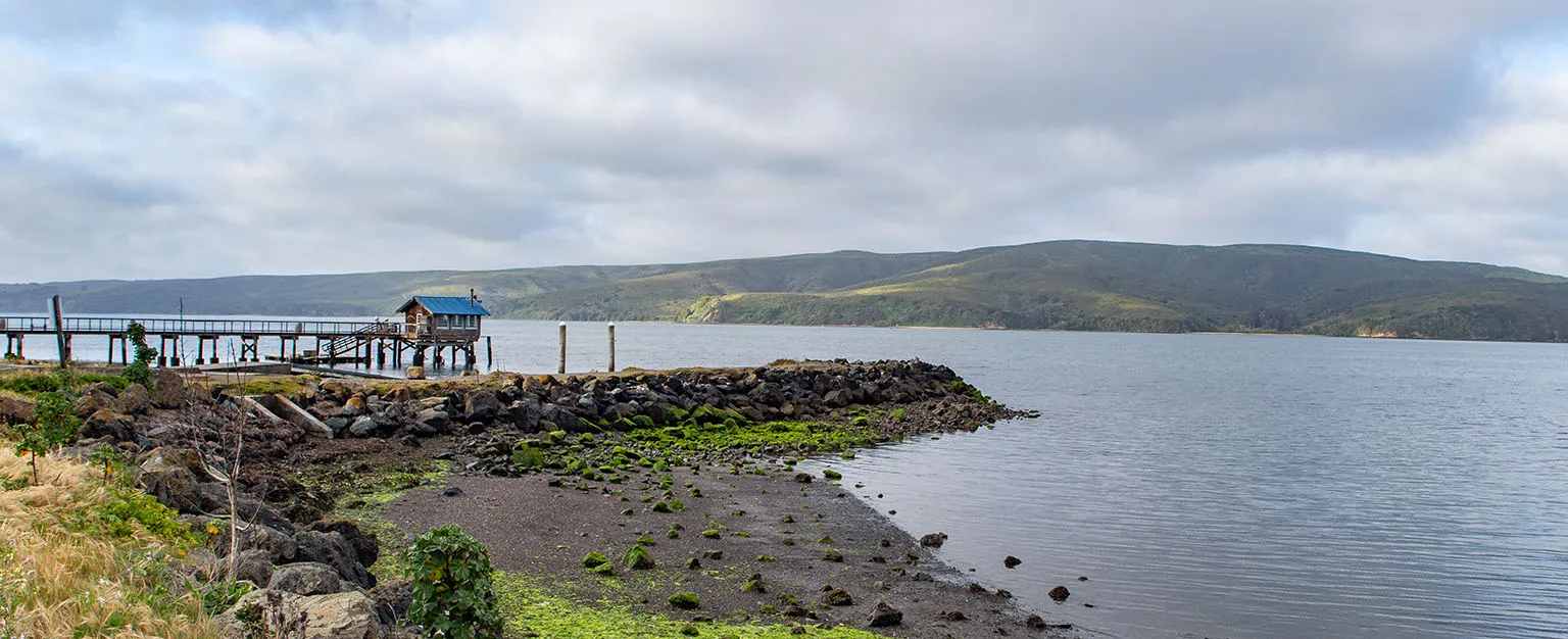 Part of Tomales Bay from Miller Boat Launch