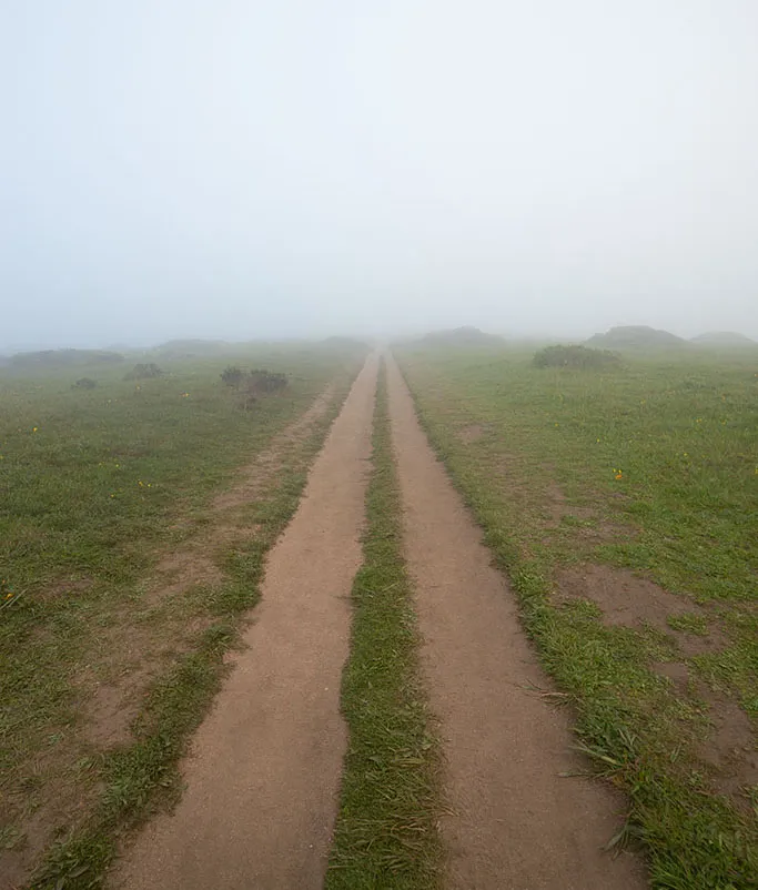 Tomales Point trail in the fog