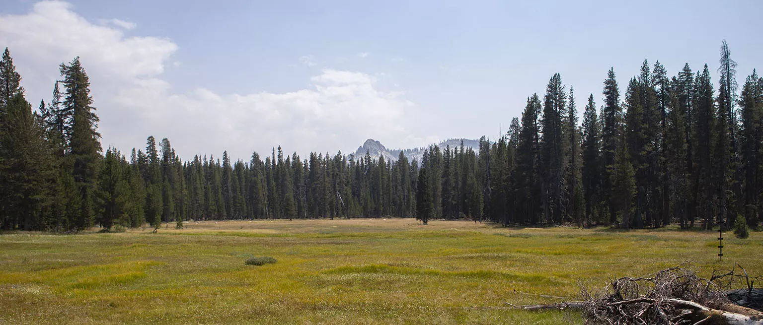 ...and Rowell Meadow itself with Mt. Siliman in the distance.