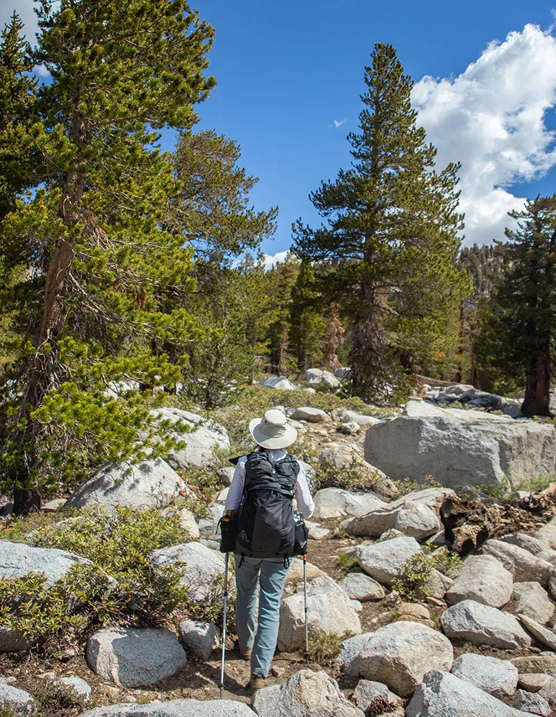 On the trail to Blossom Lakes