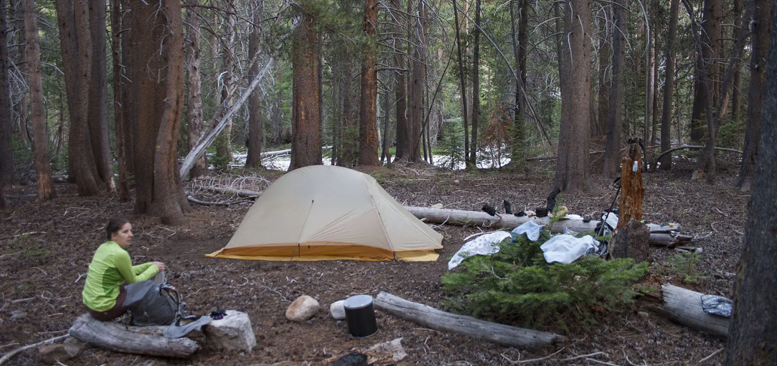 Camping in the forest not far from Kern River Junction