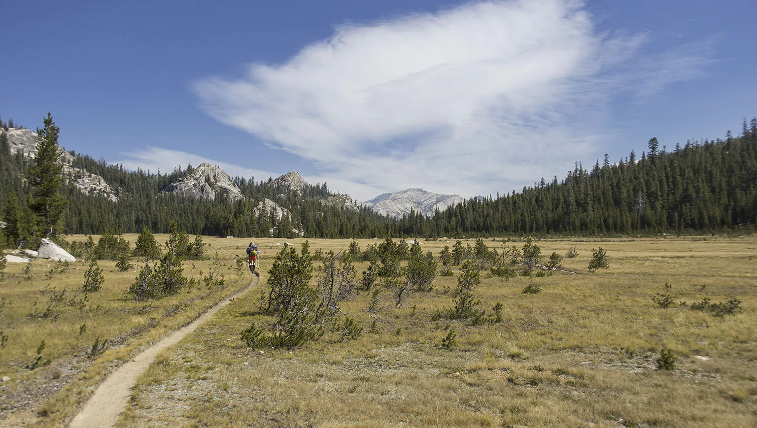 The PCT in Cold Canyon, looking north